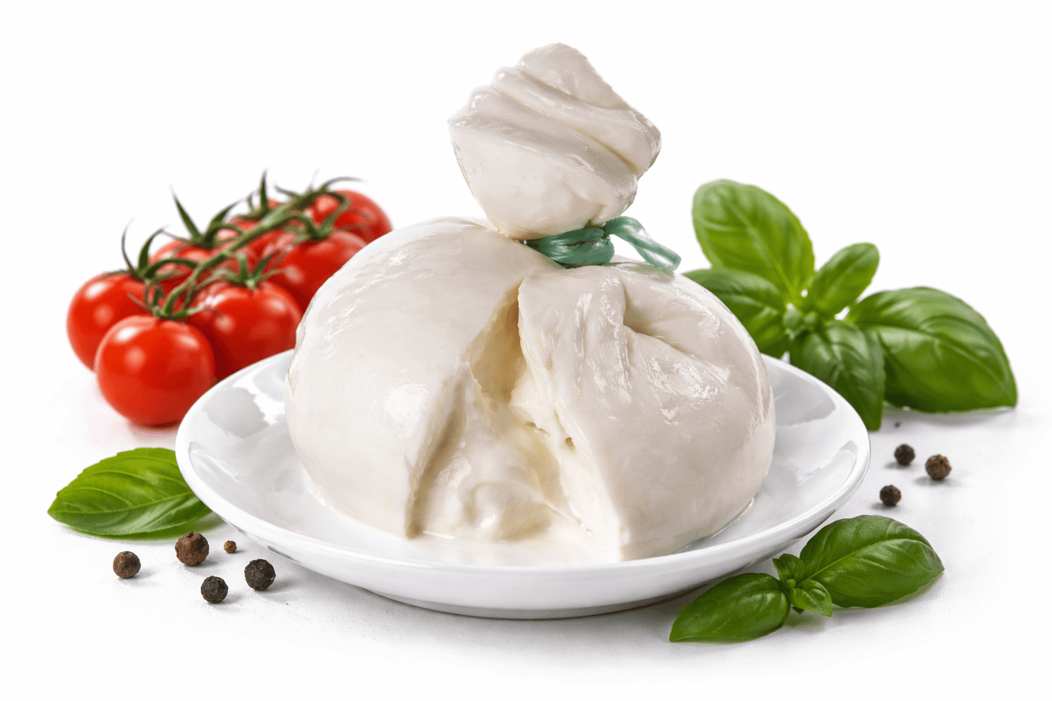Uso del termine burrata: la decisione dell’Euipo sul caso Burrata Campana - Professione Casaro