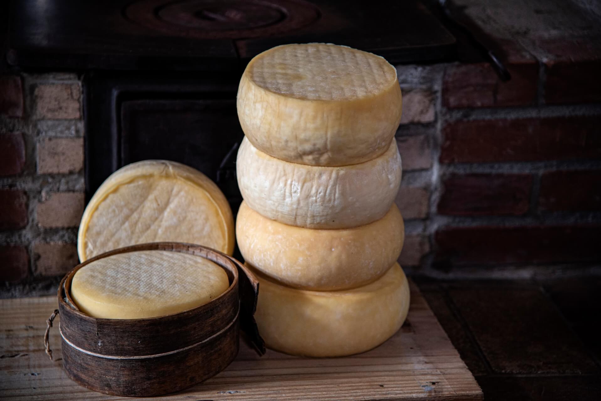 Il formaggio Colonial